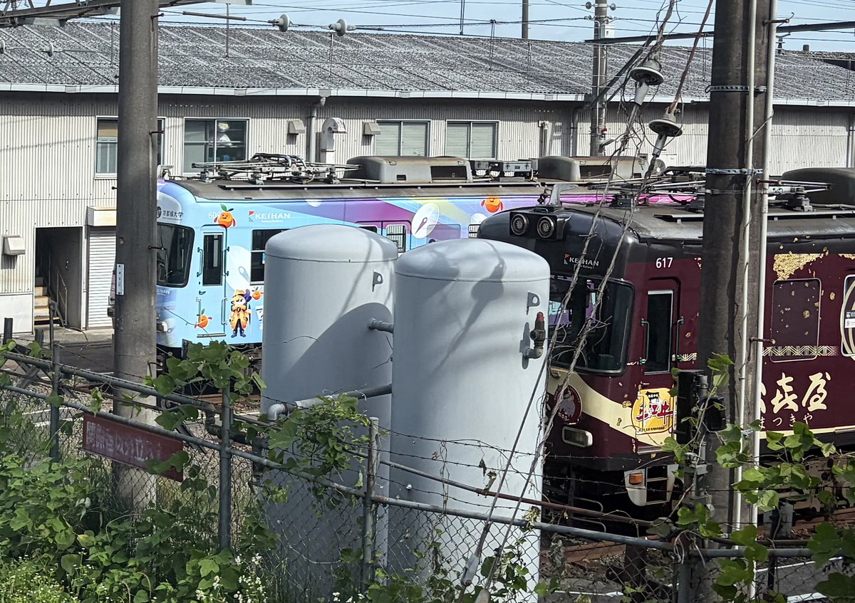 早速見つかりました👀 公式よりも早く、さすがでございます💡