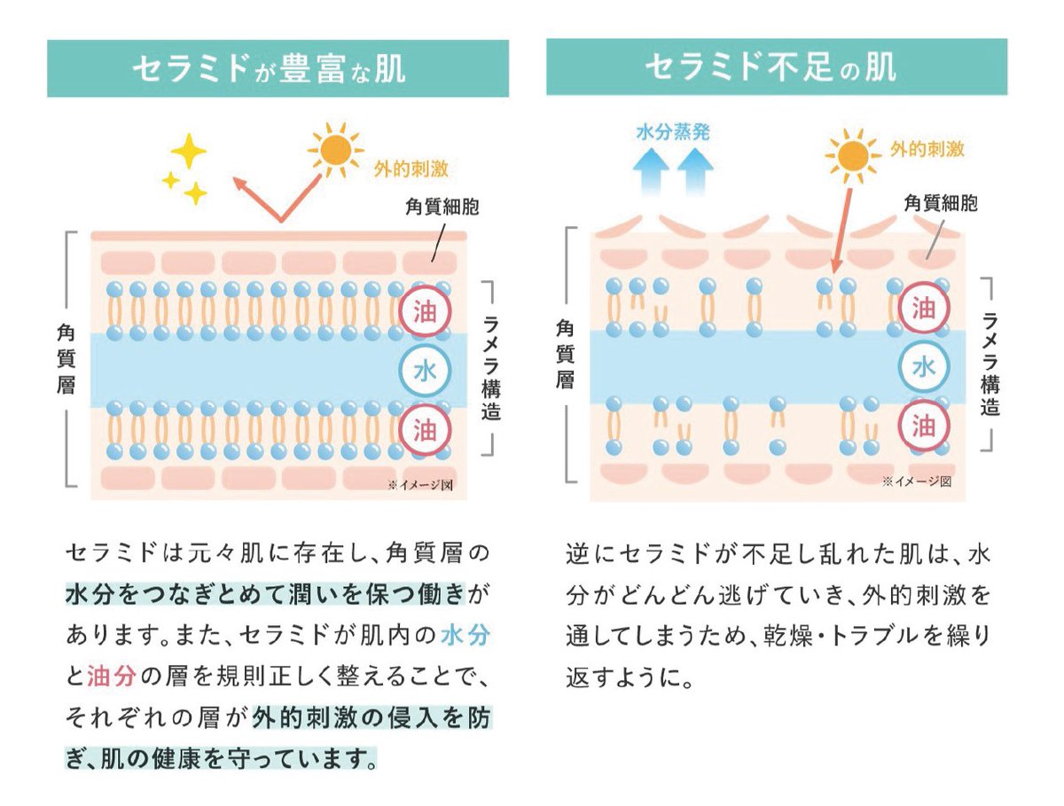 exm_staff's tweet photo. どれだけ保湿しても乾燥する…それ、セラミド不足かも。肌の潤いを保つためには、潤いを逃がさないことも大切。セラミドで肌の潤いを守るバリア機能をサポートしましょう🫧
ちなみに「ヒト型セラミド」は、人間の肌に存在するセラミドに近い構造を持つため、肌馴染みが良く浸透力が高いからおすすめ🩵 https://t.co/GxIXRwRWnf