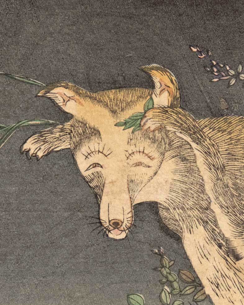 前足を上げ妖しく笑うキツネ。描いたのは菊池容斎の門弟で小林清親にも