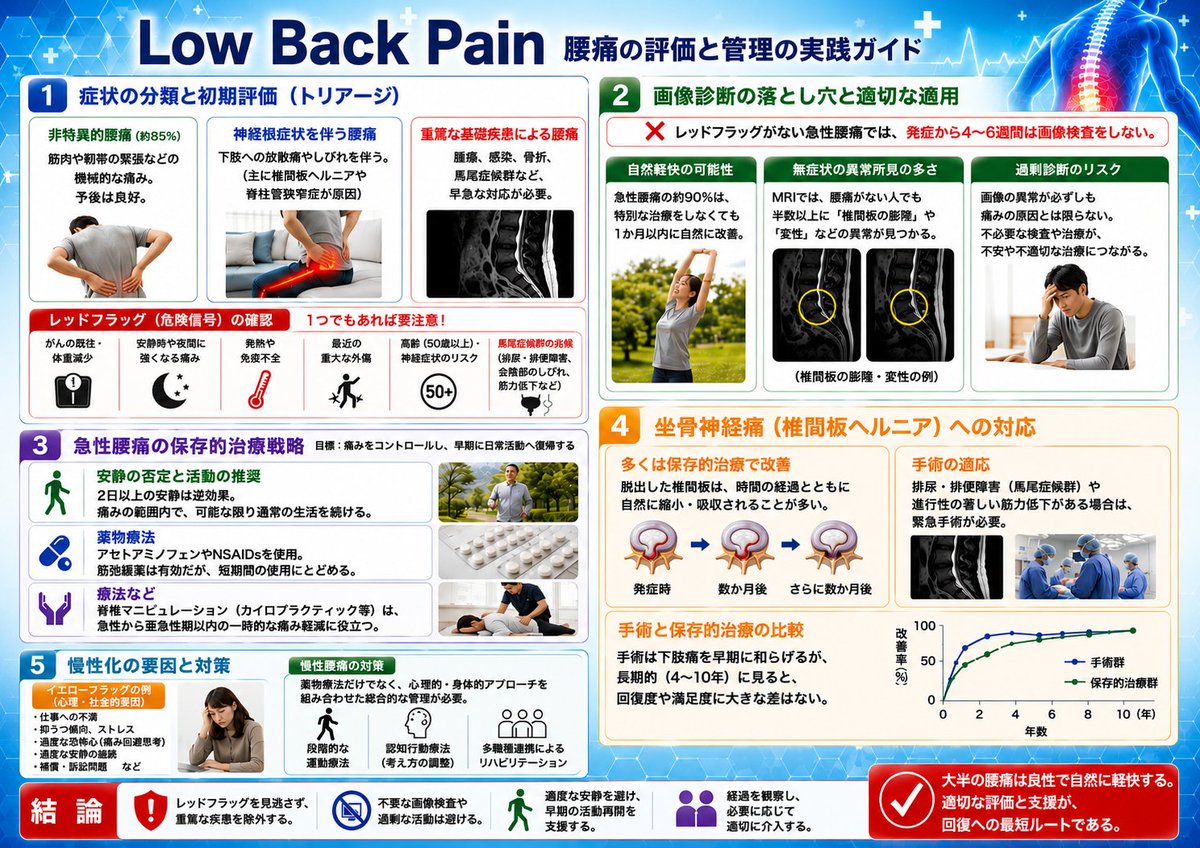 腰痛診療の最適解 「NEJM」誌が示す、科学的根拠に基づく腰痛