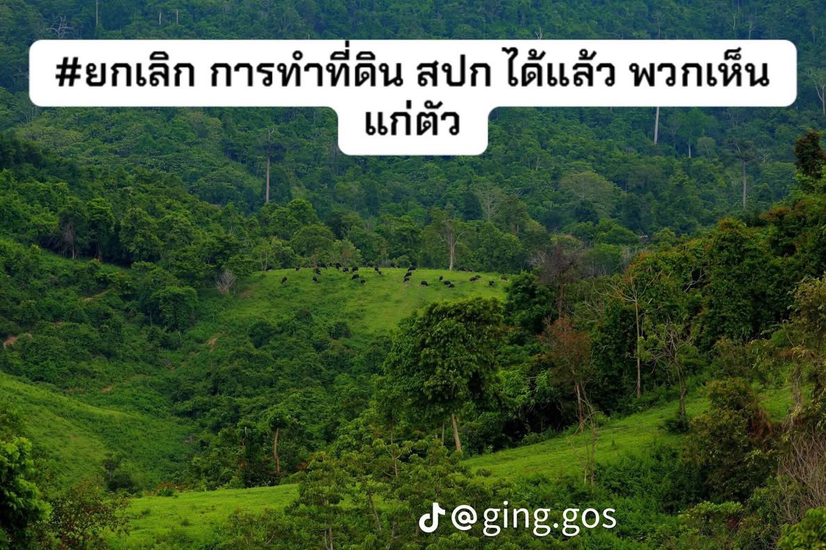 Dekchaikumkom's tweet photo. ผืนป่าที่สูญเสียไป อาจใช้เวลาหลายสิบหรือหลายร้อยปีกว่าจะฟื้นกลับมาได้

การพัฒนาเป็นเรื่องสำคัญ แต่การรักษาทรัพยากรธรรมชาติที่เหลืออยู่ก็สำคัญไม่แพ้กัน

ป่าไม่ได้มีไว้เพื่อสัตว์ป่าเท่านั้น แต่มีไว้เพื่ออากาศที่เราหายใจ รวมถึงน้ำที่เราใช้ และอนาคตของลูกหลานเราต่อไป

“ป่าสร้างใหม่ยากกว่าการรักษาไว้”

#Saveทับลาน