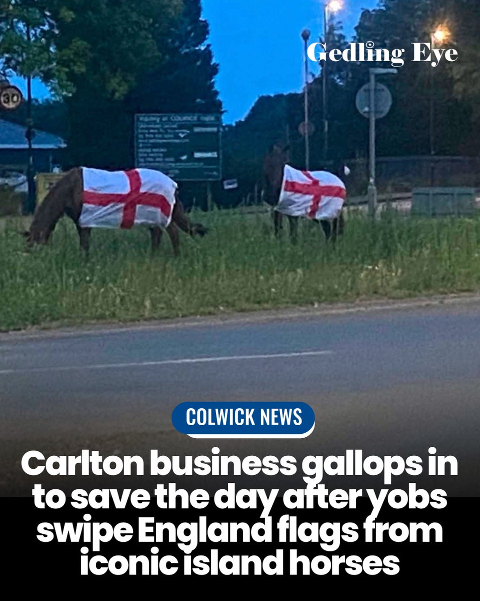 GedlingEye's tweet photo. A local business galloped in to save the day. 🐴🏴󠁧󠁢󠁥󠁮󠁧󠁿
https://t.co/nNQAmgq97Y https://t.co/w8PnsegMK8