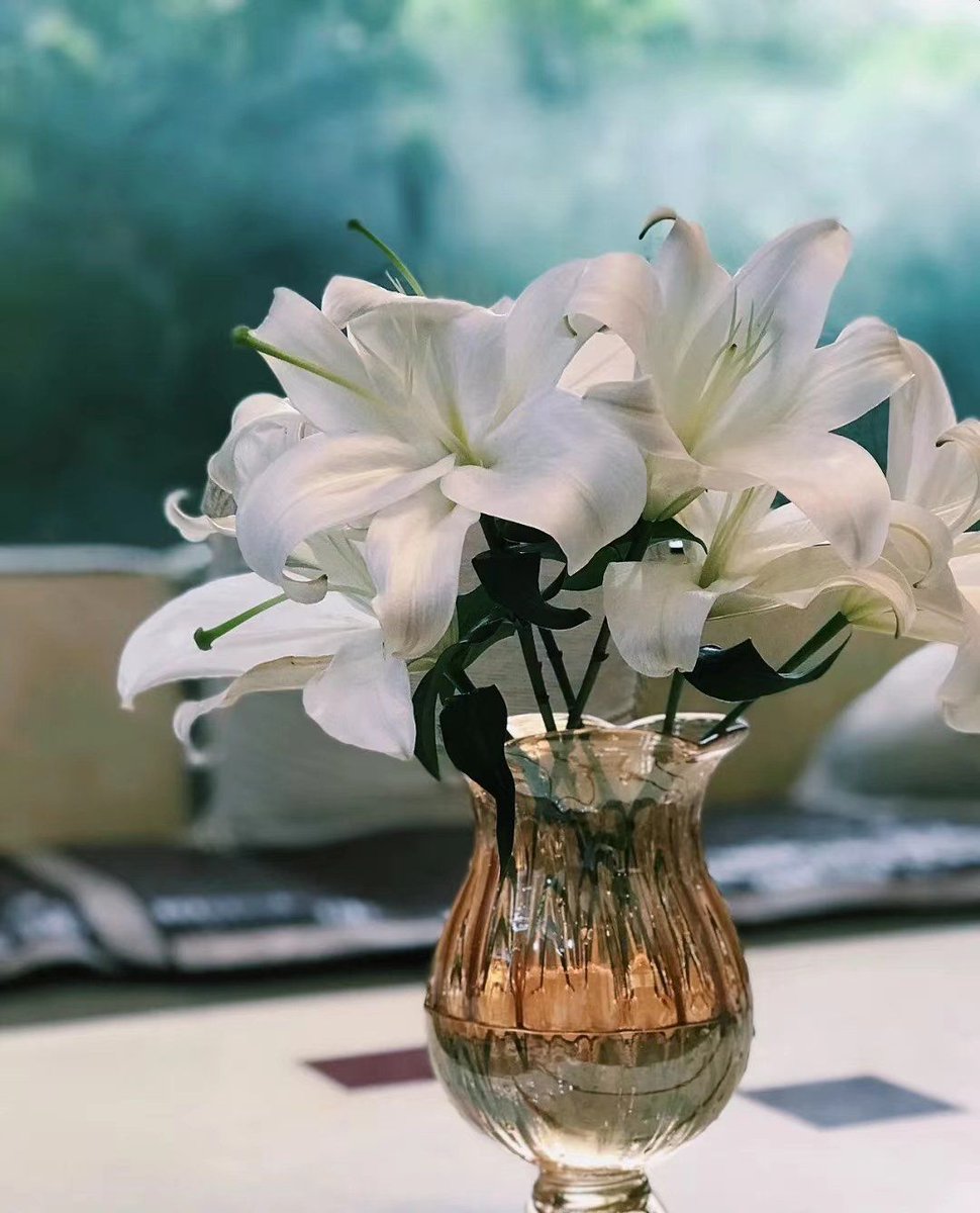 mcdonvlad's tweet photo. Try 10 mins a day to paint – small steps spark big joy! https://t.co/4KZC1UQkOd