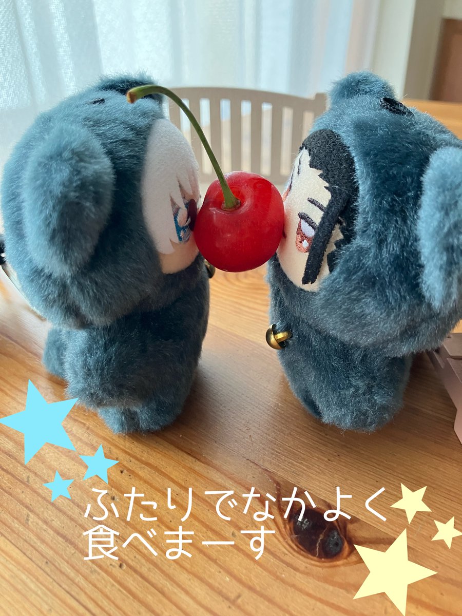 mi_sg2's tweet photo. 🍒をいただきました☺️初物だ〜甘酸っぱくて美味しい〜って食べてたら、ちみの分が残り4つ…なくなる前に気がついて良かった😅
残り一つをどうするのかじゃんけんか？とか思って見ていたら、仲良く召し上がってました🤭 https://t.co/klovTGP9dt