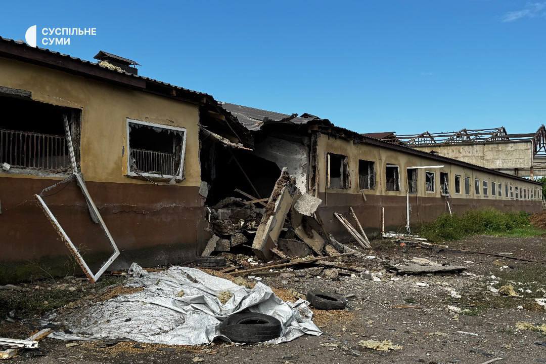 ffwrmxx's tweet photo. 3 horses dead and approximately 20 injured after a russian attack on a stable in Sumy, Ukraine. fans of horse racing, anyone, please don’t stay silent

if you’d like to help financially:
🔗 https://t.co/6qFB8LX9fk
💳 4874 1000 3912 6134 https://t.co/Kk4tssKUGG