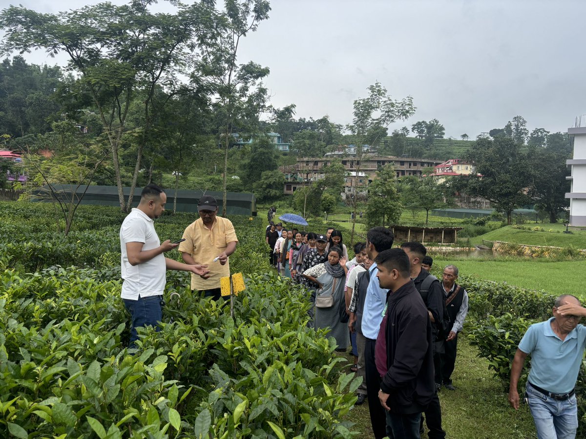 CIPMCMEG's tweet photo. 17 June 2026 | CIPMC Shillong conducted a training programme for tea growers at Tea Development Centre, Umsning, Ri-Bhoi District, under #KhetBachaoAbhiyan2026. The session focused on safe and judicious pesticide use and Pest &amp; Disease management in tea, followed by a field visit https://t.co/qQIXRxHIgl