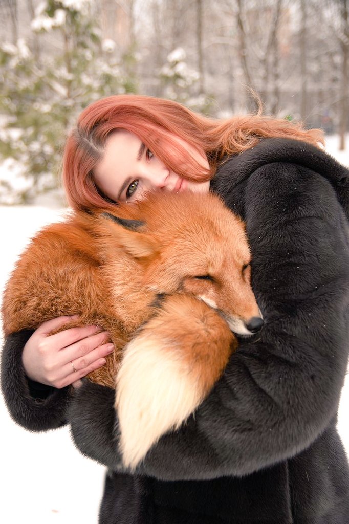 RAREUNIQUE77's tweet photo. So beautiful Fox 🦊🦊🦊 https://t.co/vunBtmF4jM