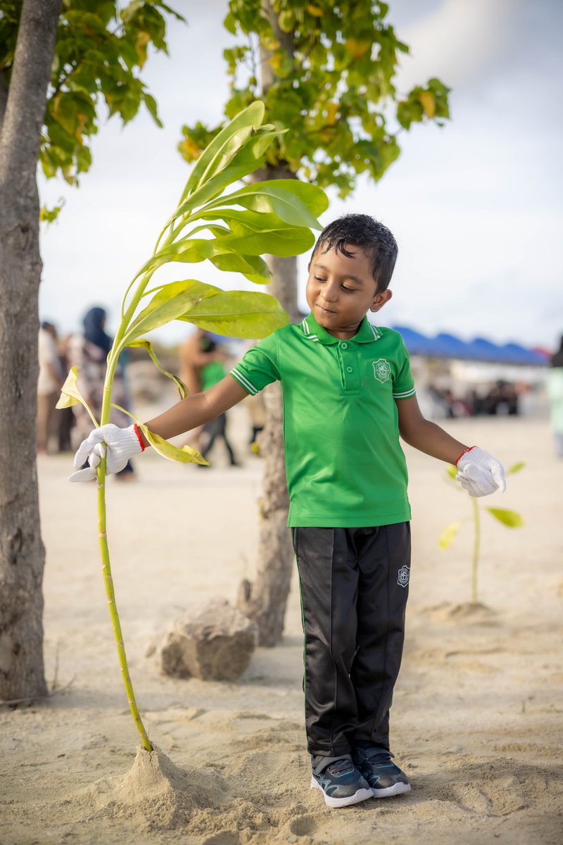 ARC_maldives's tweet photo. Highlights from the Maafushi Tree Planting Event held to celebrate World Environment Day 2026, where all the students of @SchoolMaafushi had the opportunity to plant trees donated by @sdmfarms. https://t.co/SOCSOJGCrP