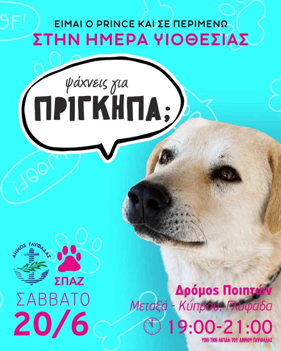 vimaonline's tweet photo. Ημέρα Υιοθεσίας Σκύλων στη Γλυφάδα: Ο Δήμος και ο ΣΠΑΖ αναζητούν οικογένειες για τα αδέσποτα ζώα https://t.co/hPcQyLVM0M https://t.co/ZNY9n24K2C
