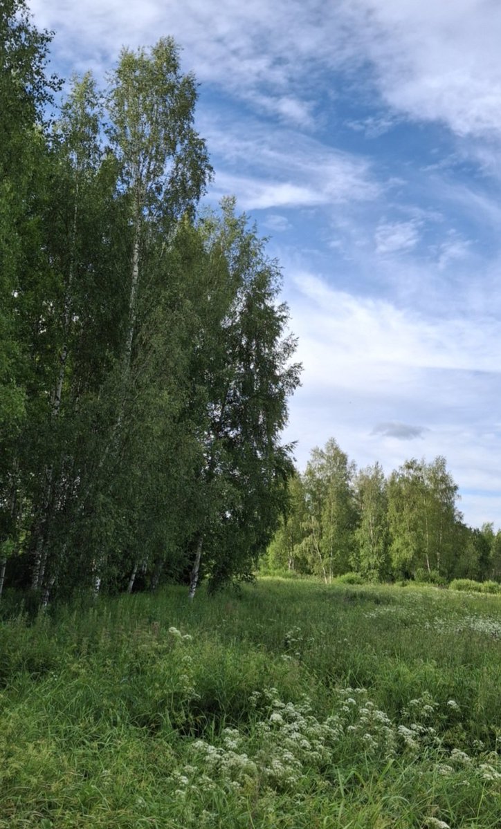BlomTee's tweet photo. Hyvää torstaita!🤗☕️ Aurinkoinen päivä tulossa🌞
Happy Thursday!🤗☕️ https://t.co/Mt0gyOFyTs