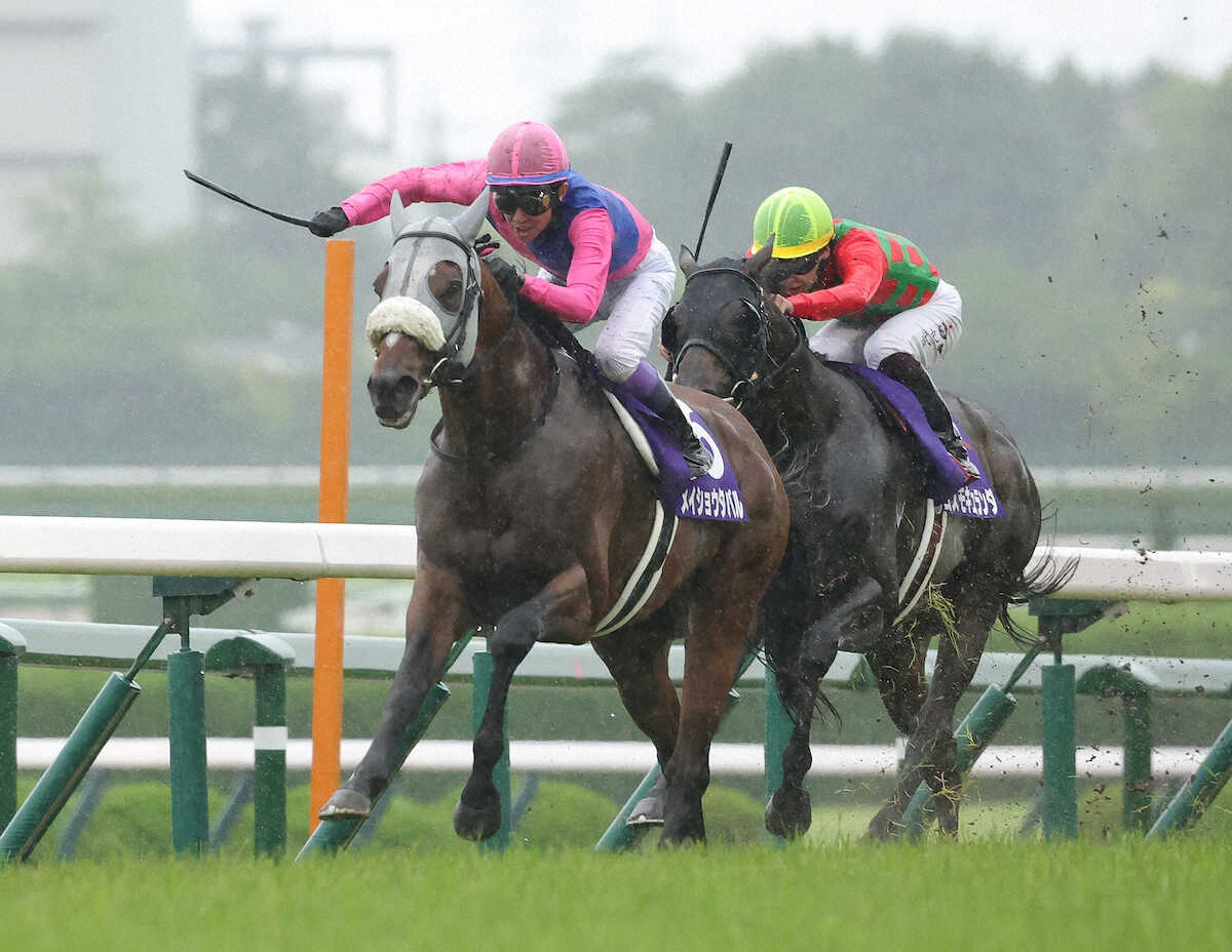 WIN!競馬_総合【公式】 tweet media