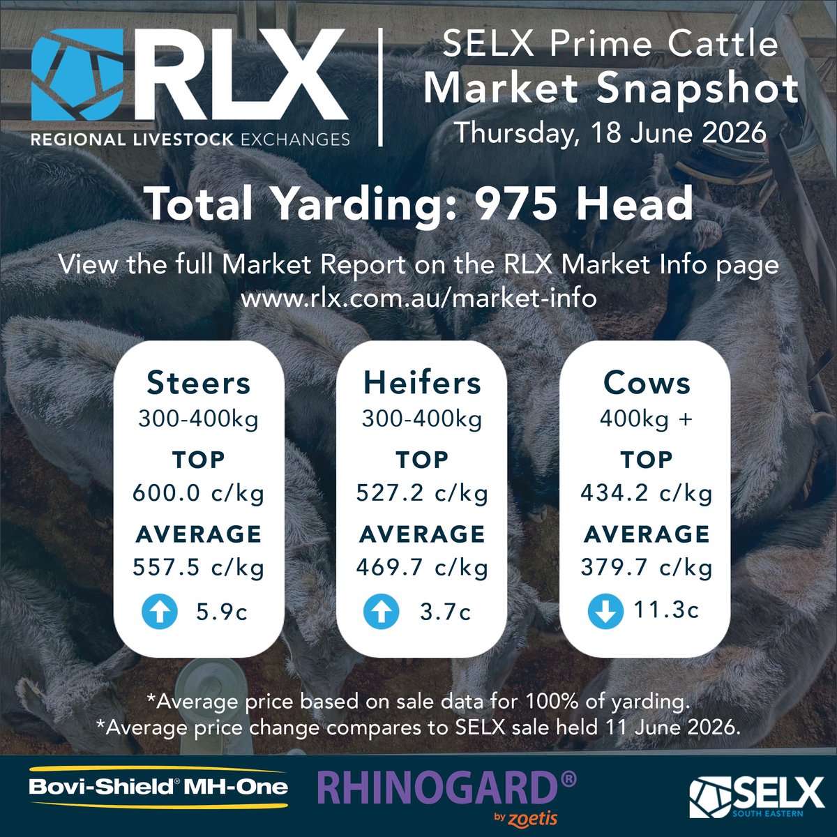 SELXNSW's tweet photo. Market Snapshot - detailed market report @ https://t.co/nFu9n5p6Zh

Prime Cattle Sale, 18 June 2026

Bought to you by Livestock Solutions With Zoetis

#SELX #RLX #cattle #AussieBeef #livestock #saleyards #beef #heifers #weaners #steers #cows #bulls https://t.co/RLQ9neriQC