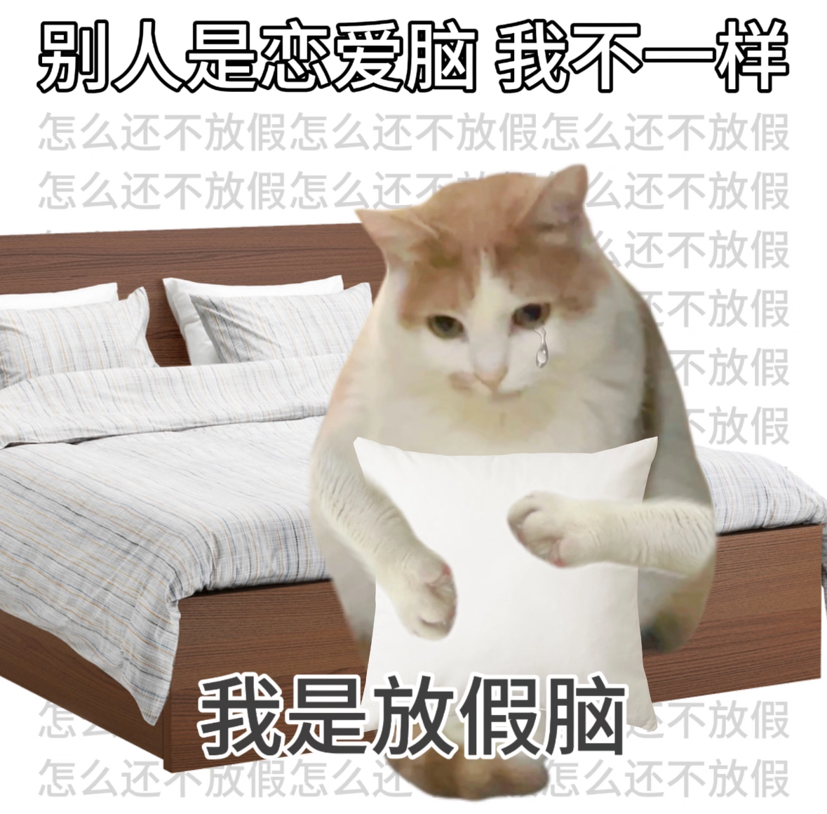 Starcn_'s tweet photo. 所有主动关注我的全部双向回关！

就算满脑子盼放假也会稳定点赞留言，拒绝躺平零互动。

想一起涨流量的直接评论扣 1，我一条不漏挨个关注！

#互关 #互fo https://t.co/yNCvHC1Xw8