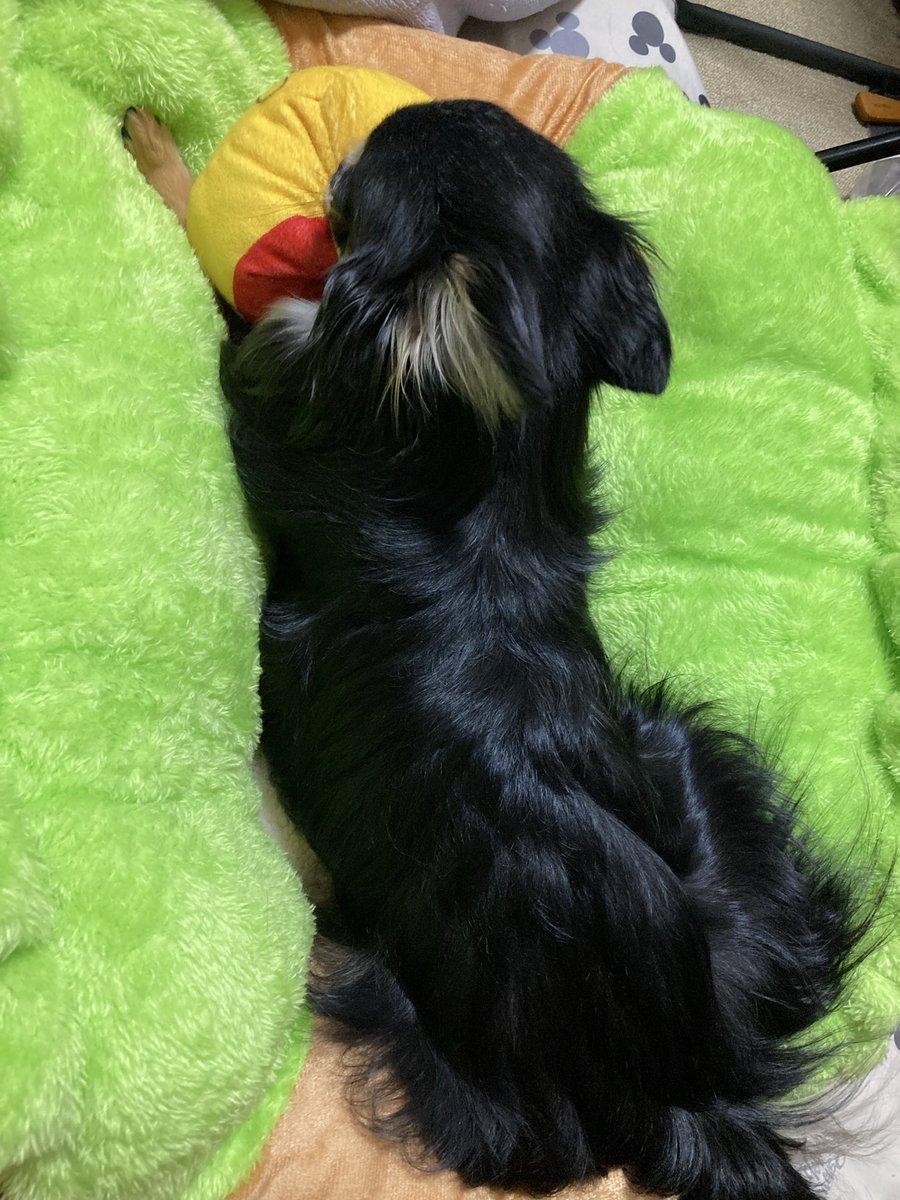 fruity_nachu's tweet photo. ダイソーで買ってみたんです

ちゃんと
ホットドッグ
してますか
マスタードとケチャップも添えました https://t.co/crljWFVW1j