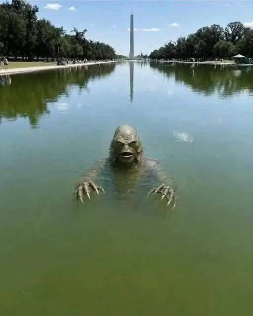 TimDemts's tweet photo. At least Trump got the Reflecting Pool to the point where Stephen Miller could take a swim… https://t.co/e5e4xsTr0c