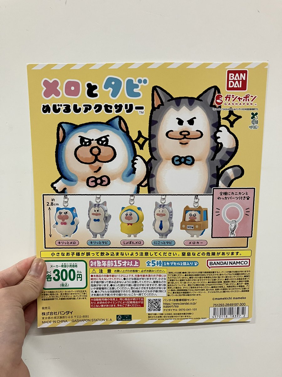 ✨🆕新商品🆕✨ 🔹メロとタビめじるしアクセサリー 🔹サンリオ