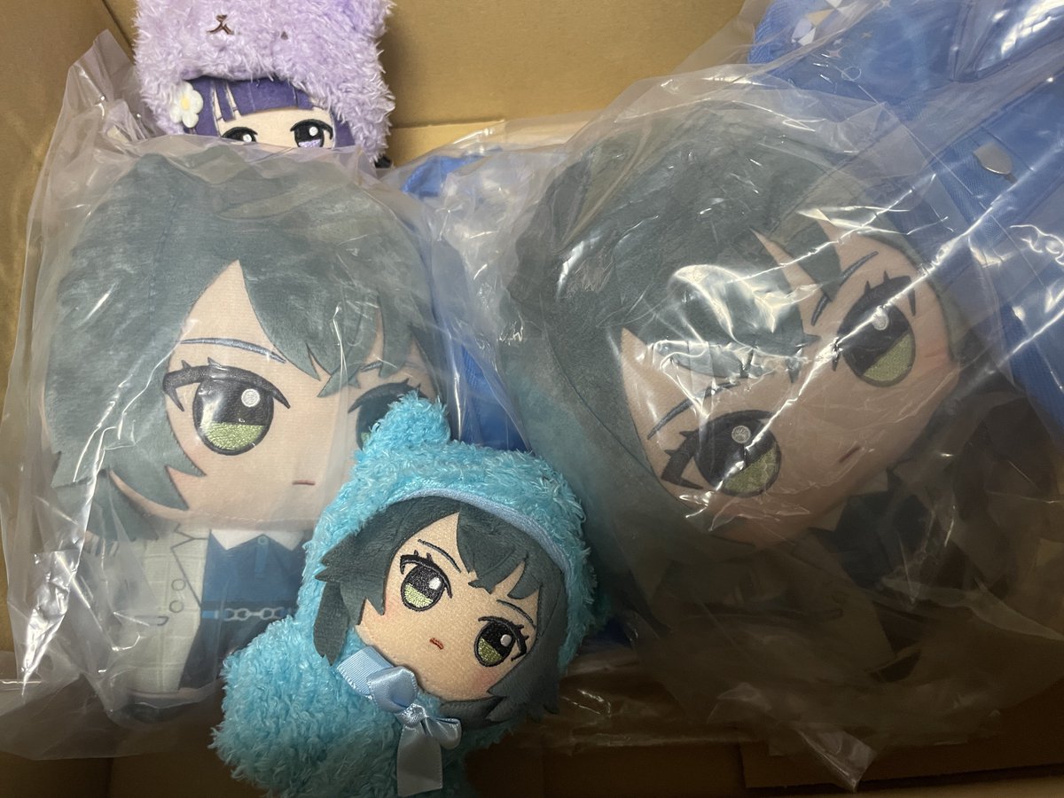 もふぐっとぬいぐるみ手毬届いた！ でっかい！！