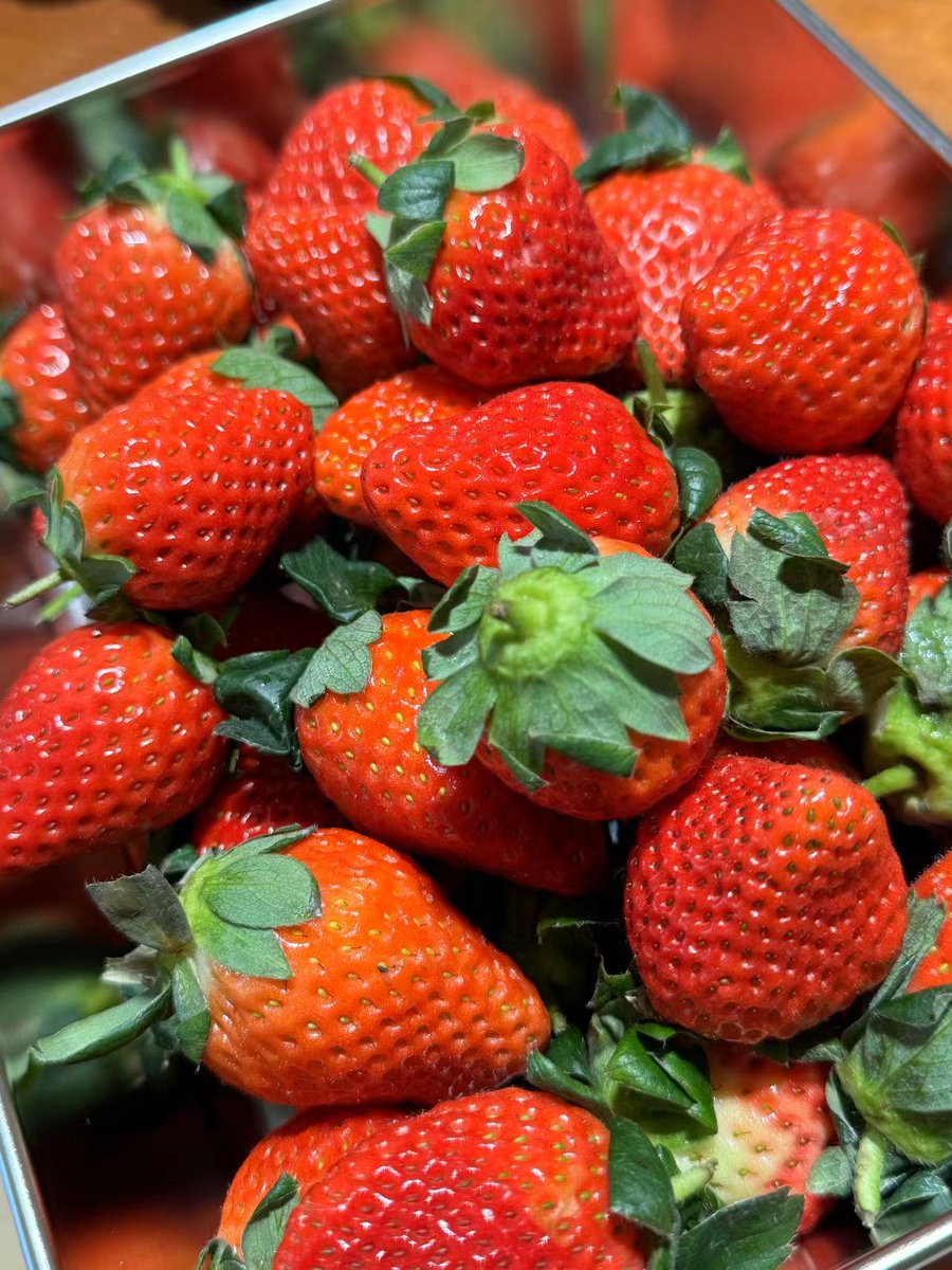 DontFallPARA's tweet photo. Neighbor Sam just left a basket of fresh strawberries on our doorstep! Small kindnesses make the neighborhood feel like family https://t.co/XbKHfsAu3s