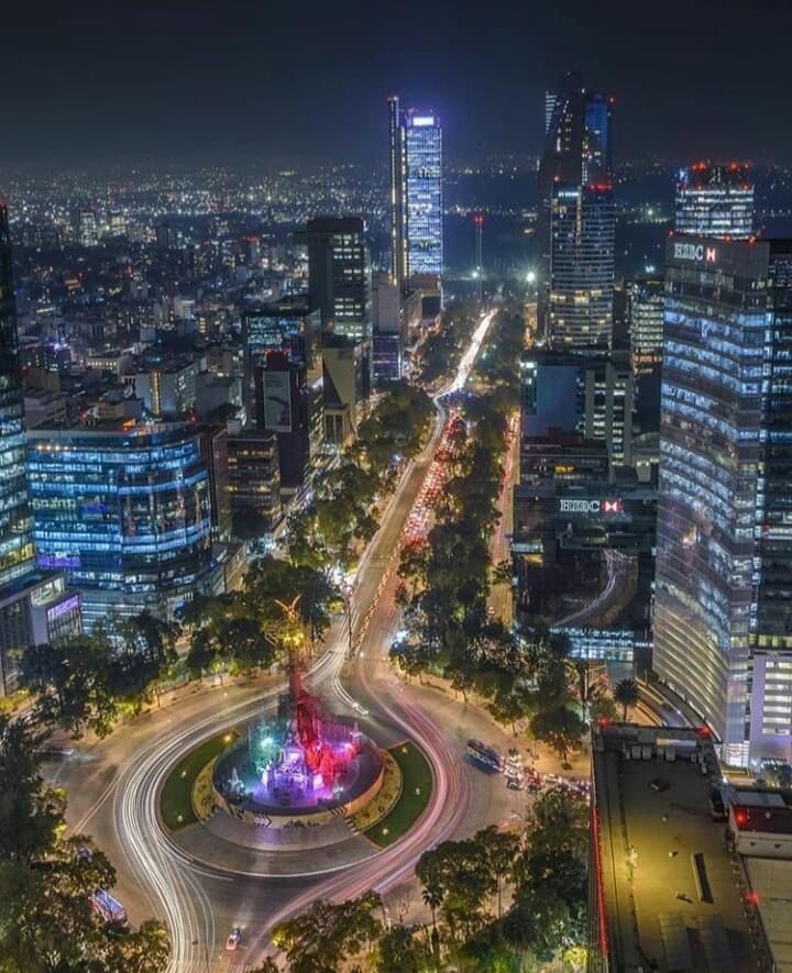 beauti_animals's tweet photo. Paseo de la Reforma in Mexico City 🇲🇽 https://t.co/lrF2ySwdUk