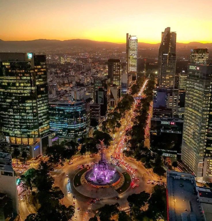 beauti_animals's tweet photo. Paseo de la Reforma in Mexico City 🇲🇽 https://t.co/lrF2ySwdUk