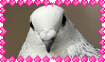 ✦ TOMB tweet media