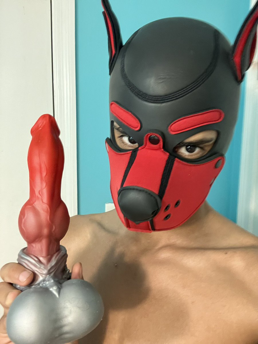 PupDelRey's tweet photo. Got a new toy RUFF! Cant wait to use and it came with some pretty cool stuff aswell🤗🤗 https://t.co/ZxSx25gck0