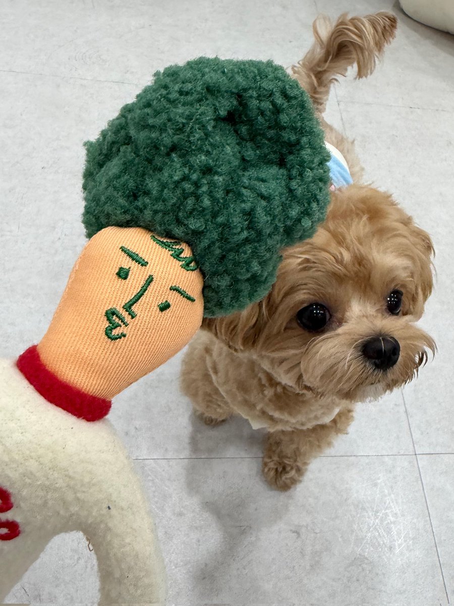 NOWZ_FrFan's tweet photo. •▪︎•BERRIZ•▪︎•170626

[#SIYUN]

Je les laisse parce que tu es joli.

•▪︎•▪︎•▪︎•▪︎•

©️ : NOWZ sur Berriz
#Crow🐙 https://t.co/ezOHBgKfbA