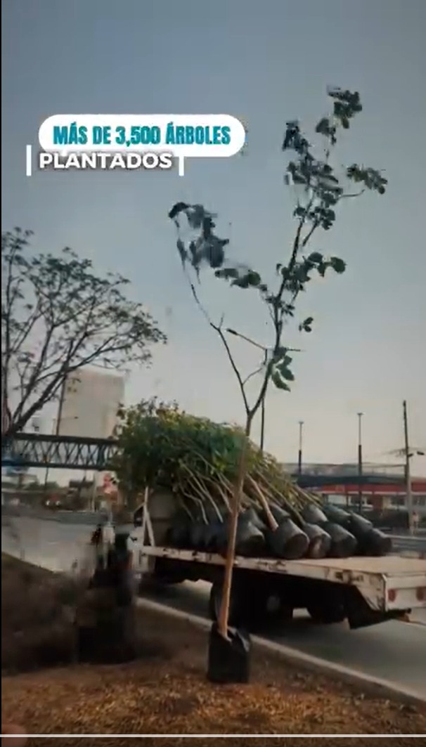viogu's tweet photo. La Siop le metió 3 mil pesitos a un video en FB para publicitar que plantó 3 mil árboles en Carretera a Chapala. Claro que ni por error, ni por mínima transparencia, menciona que talaron 1,541 SANOS para el Macro Aeropuerto. Verdades a medias. https://t.co/zPq07YK90T