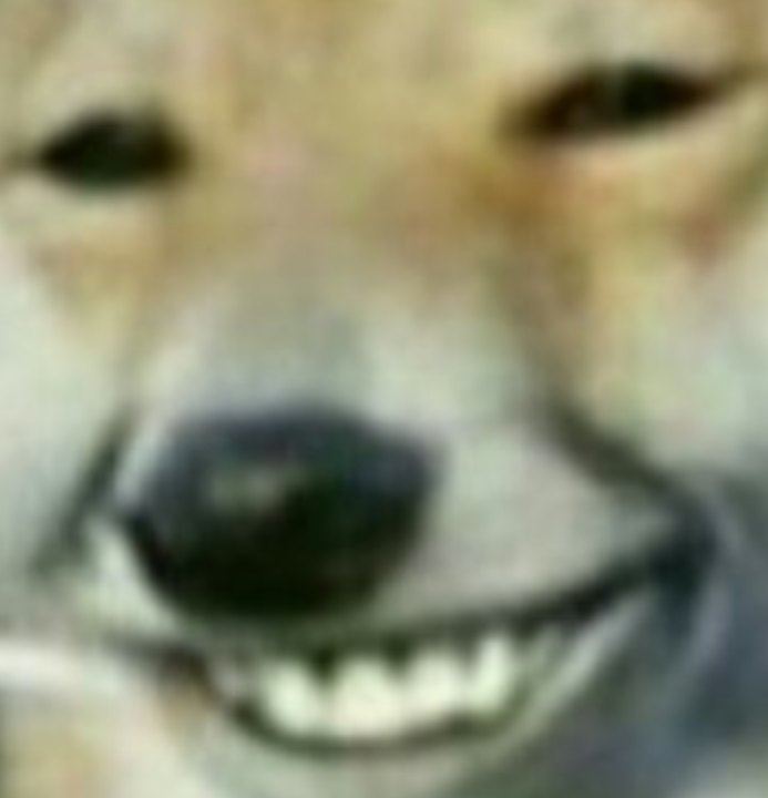 LocoBananer's tweet photo. @jaguazi @Meme_Stream99 @k1rallik Bro you mad as fuck https://t.co/oRdntPlPc8