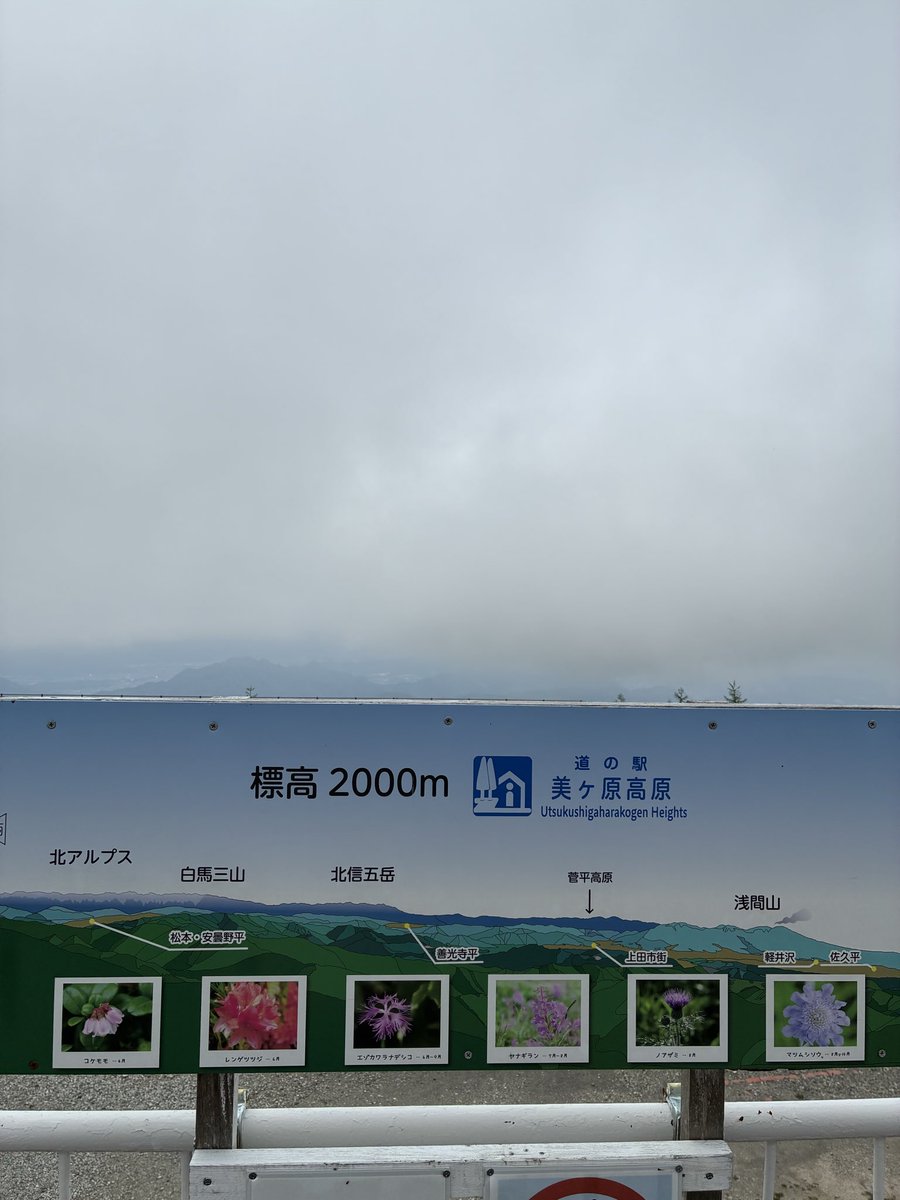 T382860189's tweet photo. どうしたんだい…

下界は晴れてたはず😅
悔しいから
メダル…見てました🤪 https://t.co/nC8bt3ovbp