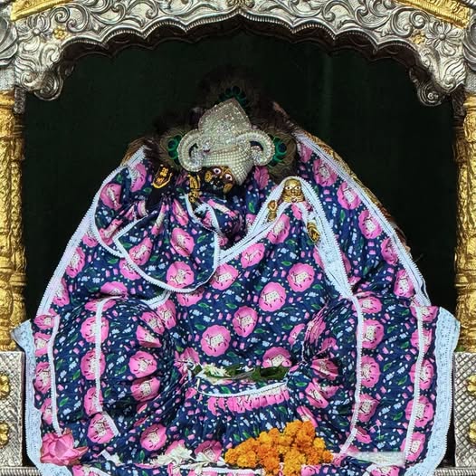 babakhatushyam's tweet photo. मंगला दर्शन हमारी लाडली जू श्री धाम बरसाना 18/06/2026 https://t.co/T12XtpGQgD