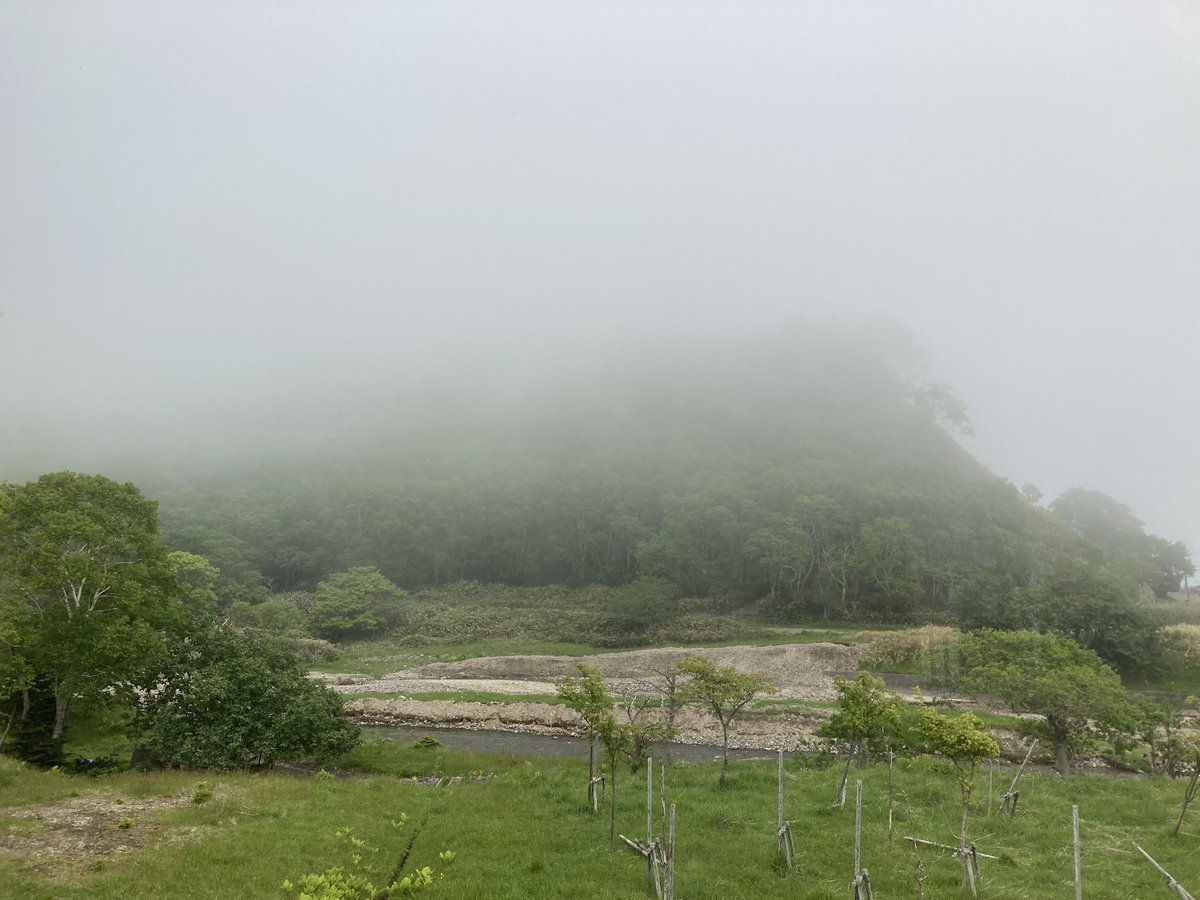 rusafieldhouse's tweet photo. 気温16℃ 寒さは感じないですが、真っ白なルサです。 https://t.co/S0yLdiVgmY
