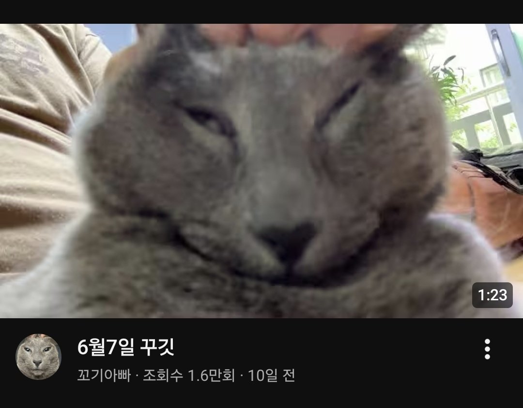 이년아 tweet media