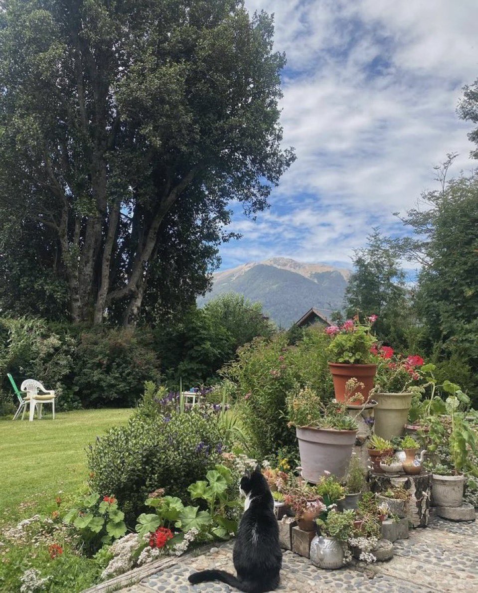paachhuuu1's tweet photo. Esta foto que le saqué al patio de mi suegra literalmente es para un cuadro. Con el cerro Bayo de fondo. 
La gata, 
Las sillas. Todo hermoso https://t.co/ruf3ikn7YG