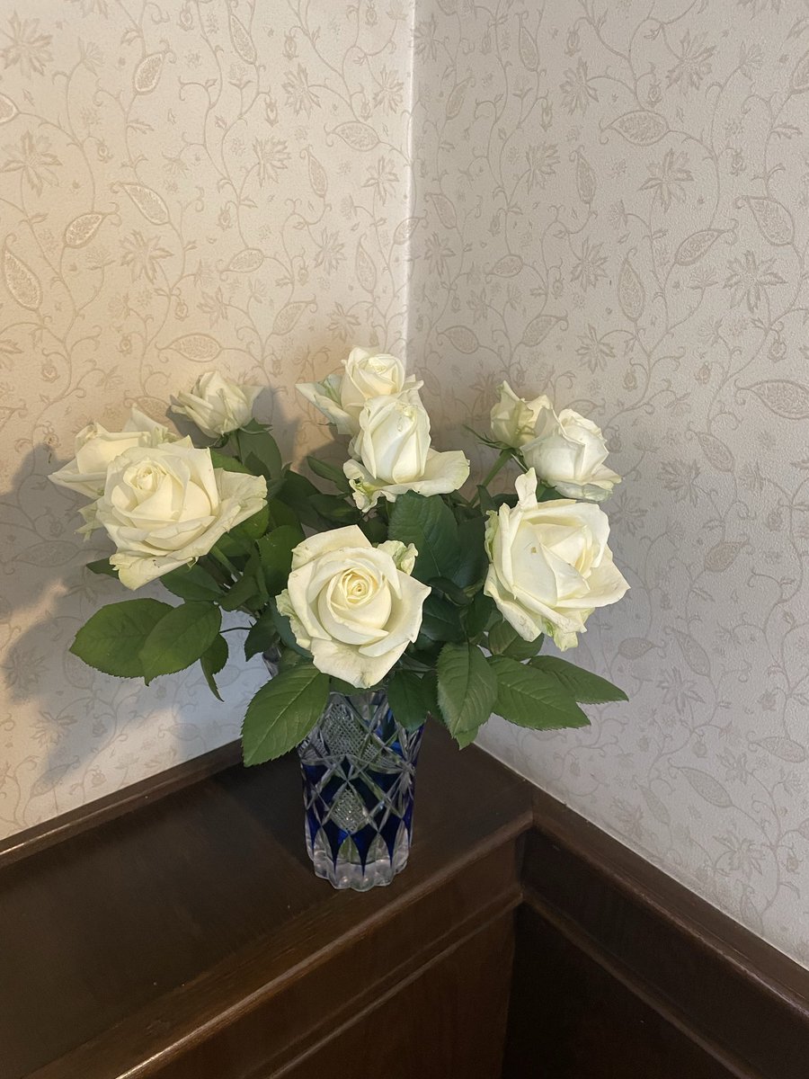 caferuhe's tweet photo. おはようございます😊
6月18日木曜日、本日定休日でございます🌹
営業日は土曜日、日曜日、月曜日でございます🫖
ご来店お待ちしております☕️
夏休みのご案内
6月30日火曜日から7月17日金曜日まででございます🎋
Instagram    cafe.ruhe 
#cafe   #カフェルーエ　#紅茶　#薔薇 https://t.co/eLHpgA6KCA