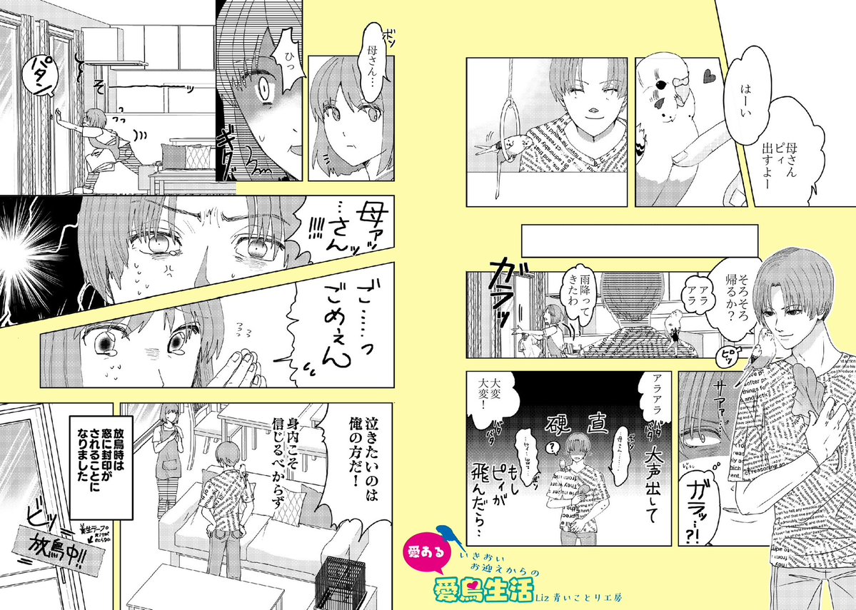【鳥さんの迷子注意⚠️】
気持ちの良いお天気が増えてきましたね☀️
窓を開けて風を通したり、お掃除をしたりする機会も増える季節です。
そして残念なことに、この時期は鳥さんのロスト(迷子)も増える時期でもあります。
「うちの子は大丈夫」
「いつもここにいるから」