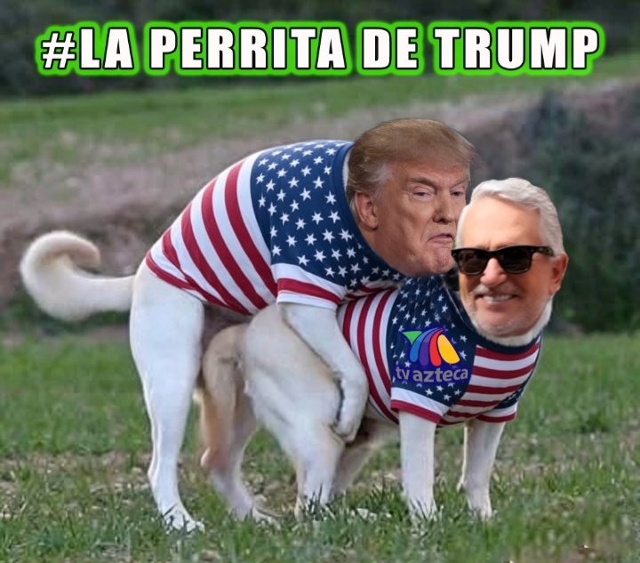 El Sancho de Trump tweet media