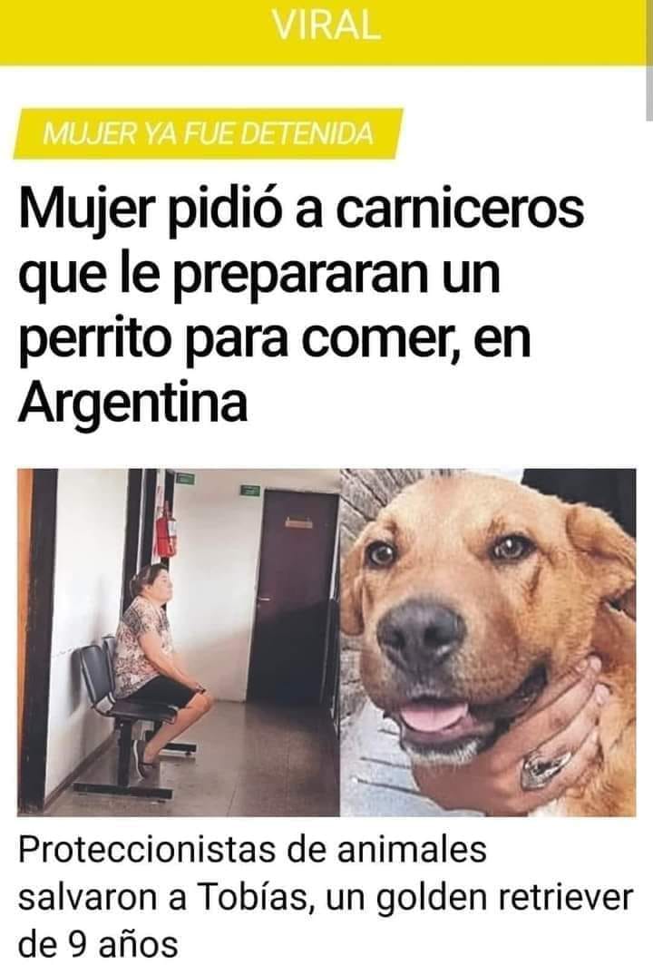 Mexica Jurista tweet media