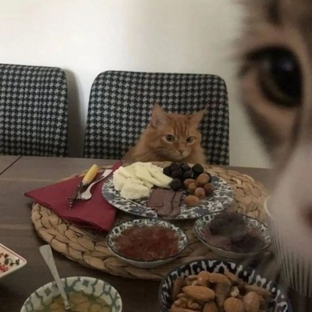 PunchingCat's tweet photo. https://t.co/RyCPW6xsAT