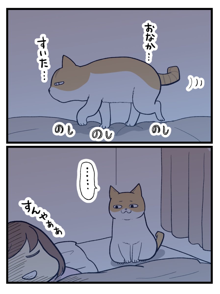 (2/2) 