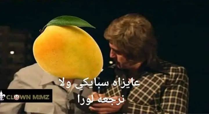 ماريكا بنت الخواجة بيجو😏𓅃𓈖𓇋𓂧🇪🇬 tweet media