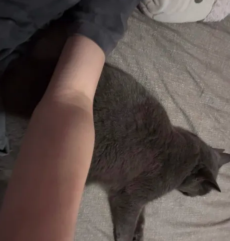 kittycupcakegrl's tweet photo. does my arm look thin https://t.co/jNFQ3PqAGD