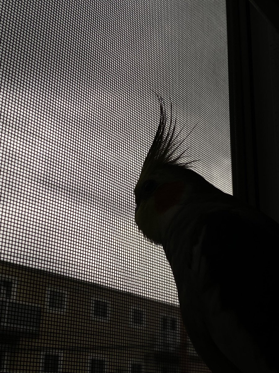accdntl's tweet photo. Watching storms •:• https://t.co/r1hkRsUpr4