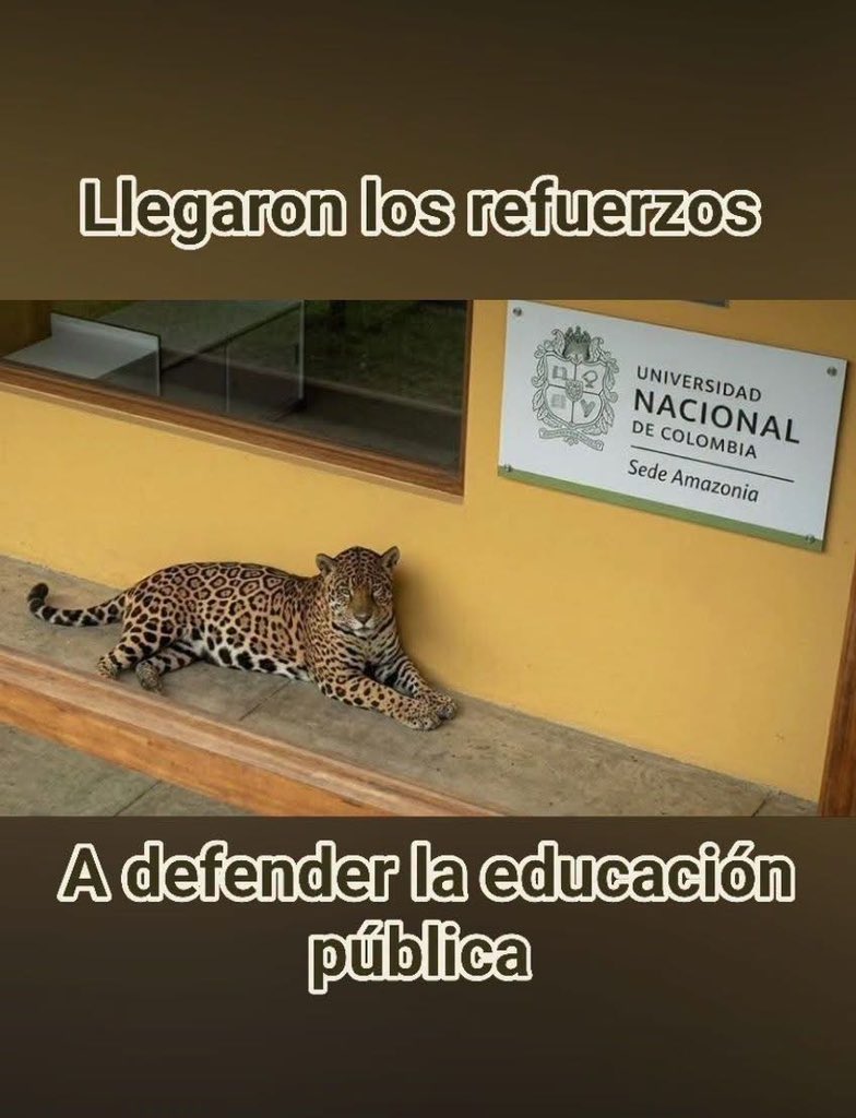 mastrxsviento's tweet photo. #MeLaJuegoPorLaEducación 🫰🏼 https://t.co/tOAwDPb5ch