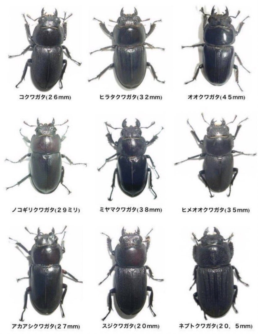 gyogyo700's tweet photo. @typeXR @bb2Q4BGF5i6656 俺視点これ https://t.co/HJ3j2JLLZY