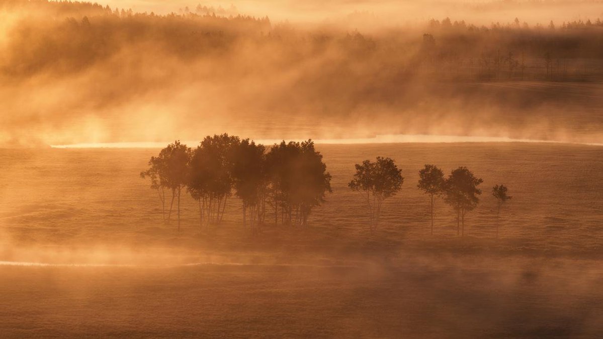 China_says's tweet photo. Bathed in golden light and draped in ethereal mist, the Nanweng River National Nature Reserve unfolds like a magnificent, dreamlike painting. Located in northeast China's Heilongjiang Province, this stunning wetland landscape features serpentine waterways and pristine forests, standing quietly as a beautiful ecological guardian on the Songnen Plain.