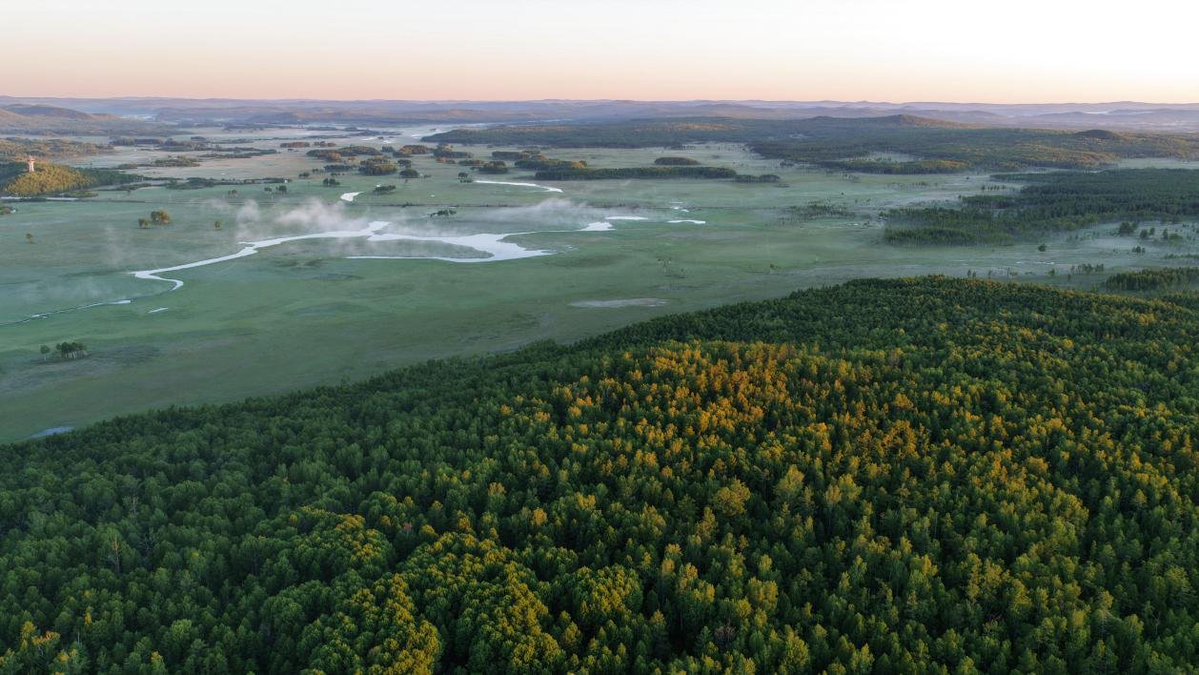China_says's tweet photo. Bathed in golden light and draped in ethereal mist, the Nanweng River National Nature Reserve unfolds like a magnificent, dreamlike painting. Located in northeast China's Heilongjiang Province, this stunning wetland landscape features serpentine waterways and pristine forests, standing quietly as a beautiful ecological guardian on the Songnen Plain.