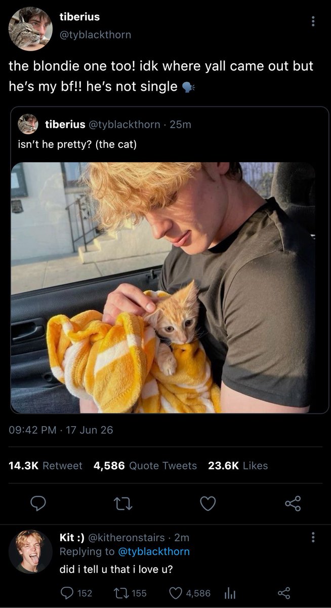 thinktiberius's tweet photo. #Kitty Silly BF || One tweet AU https://t.co/flr9PKsLe9