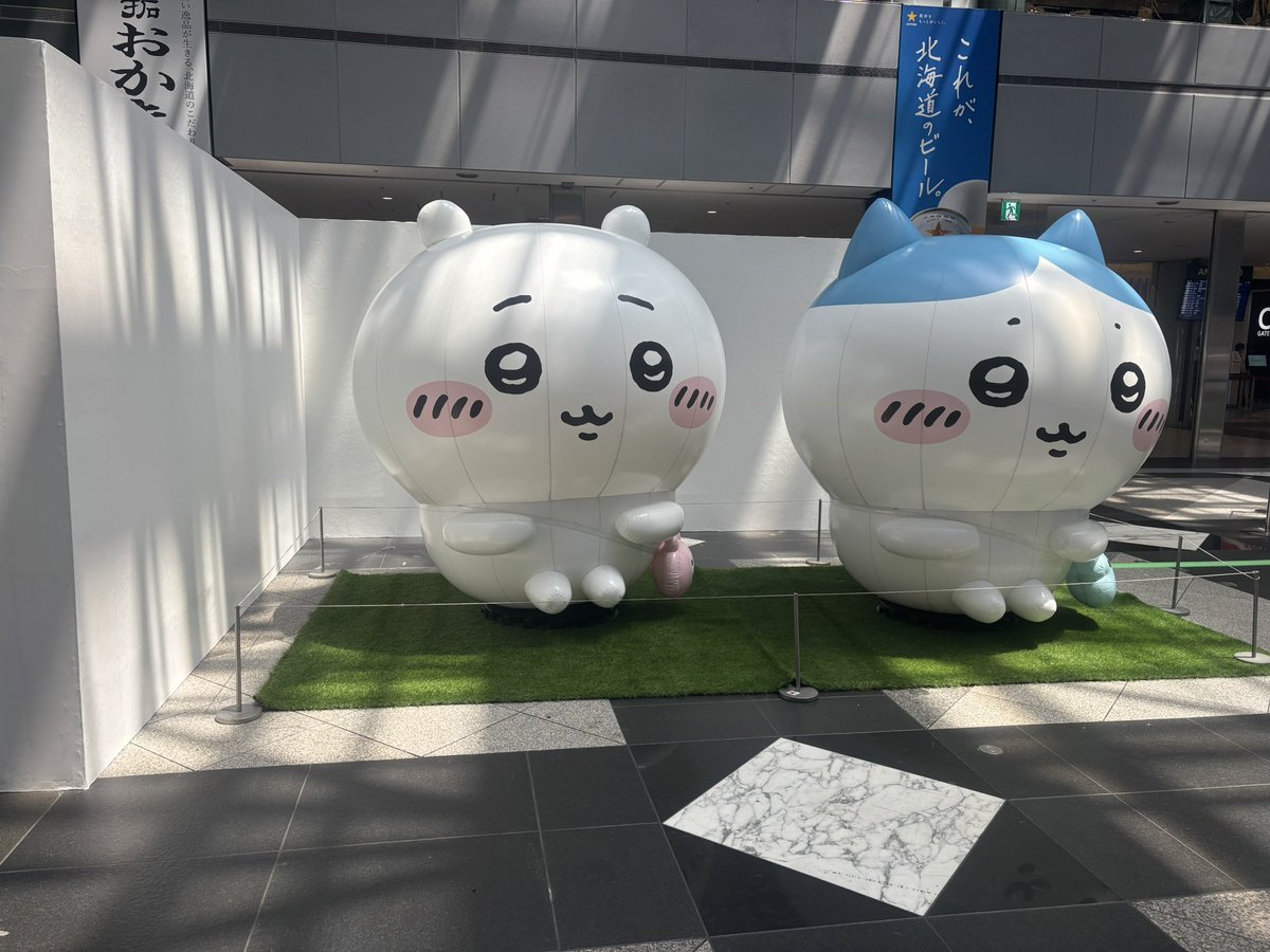 unknown_choco15's tweet photo. バカデカちいかわいた https://t.co/8Z6JVxrr0p