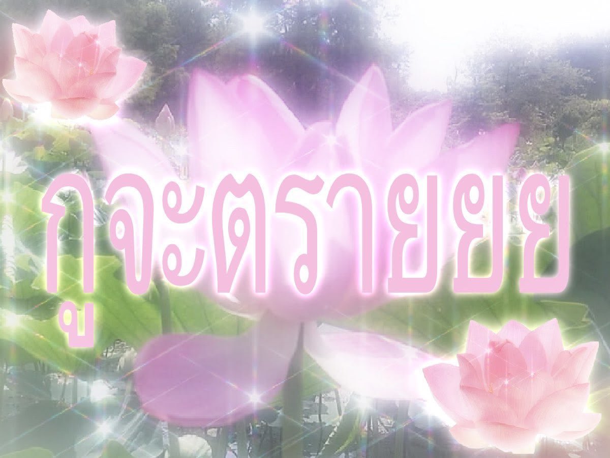 poo9932's tweet photo. กุทุกวัน https://t.co/aIqP2vljVO
